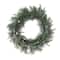 Glitzhome® 24" Pre-Lit Snow Flocked Greenery Pine Poinsettia Christmas Wreath